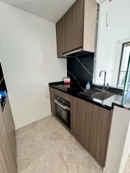 Irwell Hill Residences (D9), Apartment #458831071